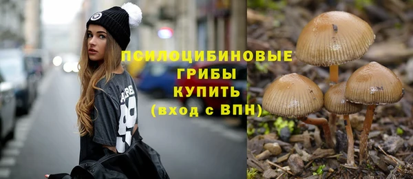 ешки Гусев