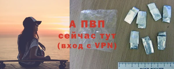 ешки Гусев