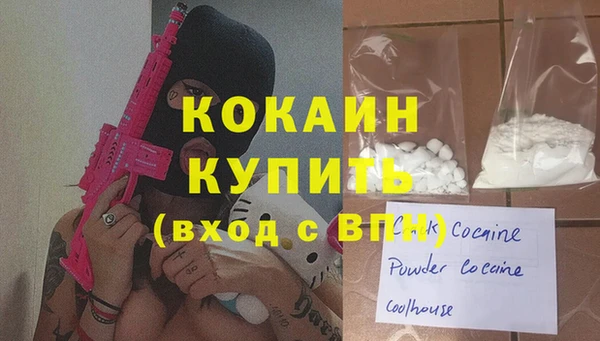 ешки Гусев
