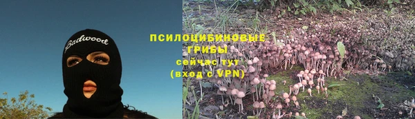 марихуана Гусиноозёрск