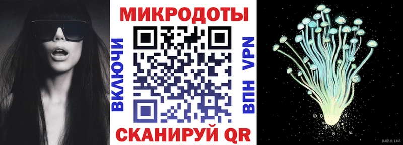 Галлюциногенные грибы Psilocybine cubensis  Барнаул 